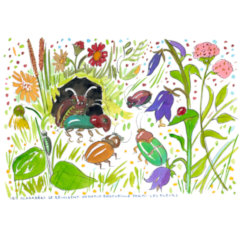 iwk-ilustracia-08