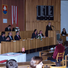 projekt-sochy-foto-19